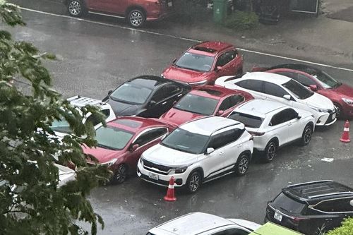 Xe ô tô ở Hà Nội đỗ co cụm giữa đường để tránh cây đổ đè lên