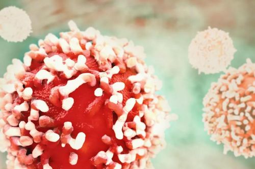 Nga hoàn tất thử nghiệm tiền lâm sàng vaccine chống ung thư