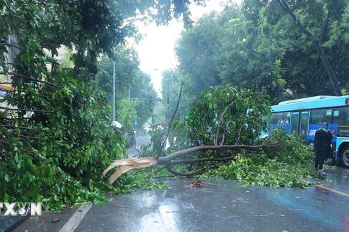 Bão số 3: Chiều 7/9, Đông Bắc Bộ và Thủ đô Hà Nội có gió rất mạnh