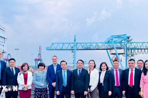 Hải Phòng đẩy mạnh hợp tác phát triển dịch vụ cảng biển, logistics với Thụy Điển