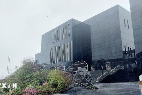 Bão đổ bộ vào Quảng Ninh, cây xanh đổ la liệt
