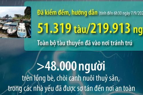 Phòng, chống bão số 3: Toàn bộ tàu thuyền đã vào nơi tránh trú