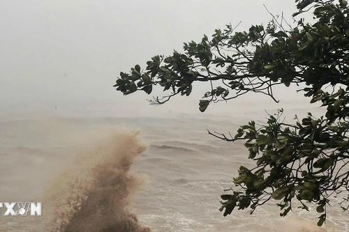Hình ảnh sóng lớn cuồn cuộn trên biển Đồ Sơn