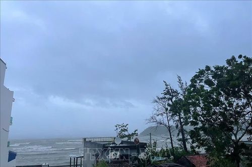Bão số 3: Các địa phương đảm bảo an toàn trọng điểm đê biển, đê cửa sông xung yếu