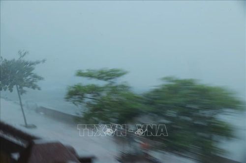 Hải Phòng: Bão số 3 đổ bộ vào khu vực quận Đồ Sơn, sức gió cấp 16-17