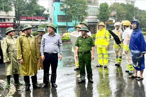 Bão số 3: Khắc phục, xử lý những sự cố, đảm bảo an toàn tại TP Nam Định