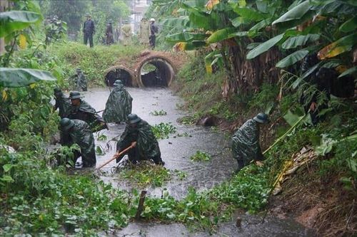 Thanh Hóa huy động bộ đội, dân quân gặt lúa, khơi thông dòng chảy giúp nhân dân