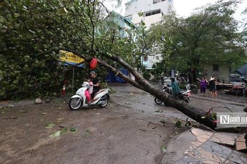 Doanh nghiệp lữ hành hủy hàng loạt tour du lịch để tránh siêu bão