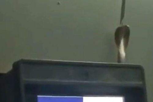 Vào cây ATM rút tiền, người đàn ông bắt gặp cảnh tượng đáng sợ