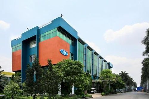 Gỗ Trường Thành bay sạch lợi nhuận sau kiểm toán