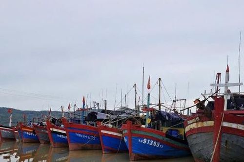 Thanh Hóa: Huy động hơn 17.000 bộ đội, dân quân tự vệ sẵn sàng chống bão