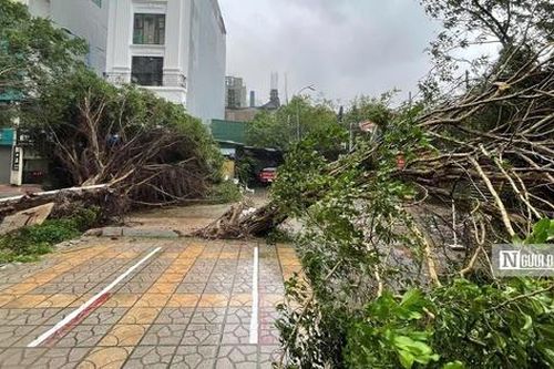 Bão số 3 đang tiến rất gần, Hà Nội mưa bắt đầu nặng hạt, gió rít từng cơn