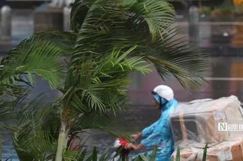 Bão số 3 đổ bộ: Đảm bảo an toàn cho học sinh nội trú