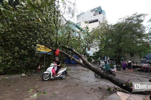 Chủ tịch Hà Nội khuyến cáo người dân không ra khỏi nhà