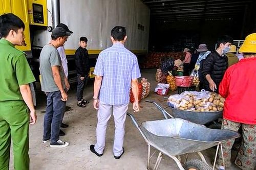 Phát hiện thủ đoạn dùng khoai tây Trung Quốc làm giả thương hiệu khoai tây Đà Lạt