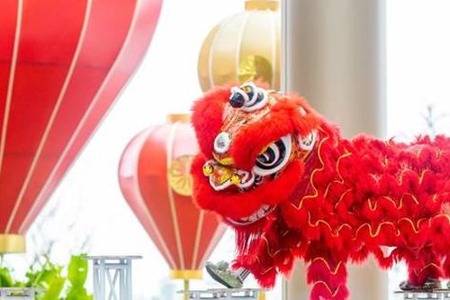 Hơn chục đội lân Quảng Nam, Đà Nẵng hội tụ, tôn vinh nghệ thuật truyền thống