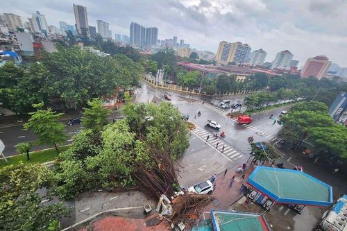 Bão Yagi tàn phá khủng khiếp, nhiều người thương vong