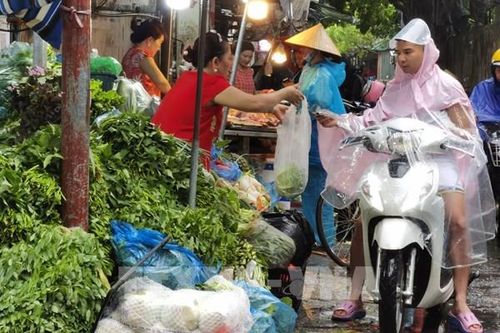 Người dân Hà Nội tranh thủ đi chợ sớm trước khi bão số 3 đổ bộ