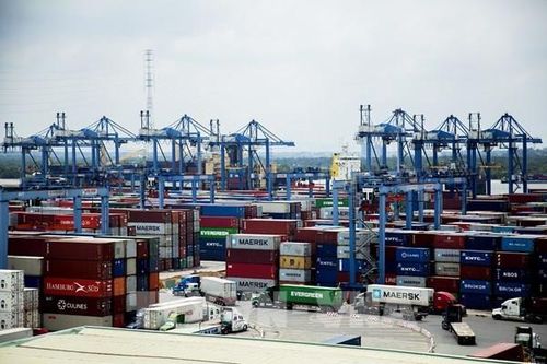 Việt Nam xuất khẩu nước xoài sang 'đế chế' xoài