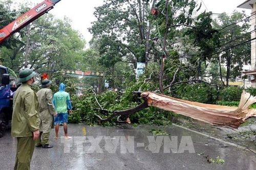 Ngành giao thông tiếp tục ra công điện khẩn ứng phó với bão số 3