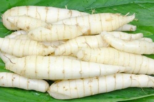 Loại củ xưa rẻ bèo không ai ăn giờ thành dược liệu quý tốt ngang nhân sâm không phải ai cũng biết