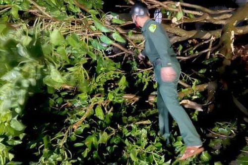 Thanh niên tử vong sau khi tông trúng cây gãy đổ chắn ngang đường