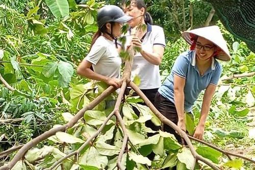 Thái Bình: Các cấp Hội tích cực tham gia ứng phó mưa bão