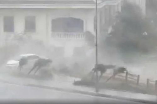 Bão số 3 đổ bộ, gió mạnh, mưa lớn khiến cây đổ la liệt
