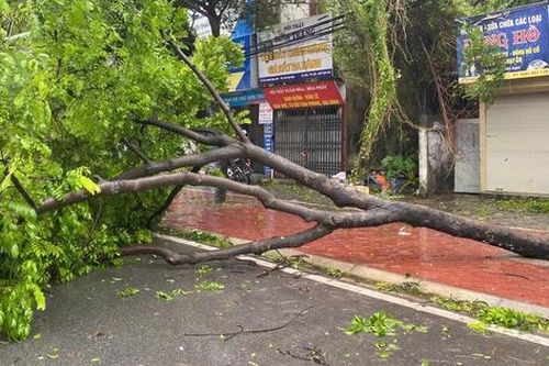 Chủ tịch Hà Nội khuyến cáo người dân không ra khỏi nhà khi bão số 3 đổ bộ