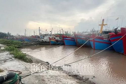Trước giờ bão số 3 đổ bộ vào Nam Định, chính quyền và nhân dân ráo riết ứng phó