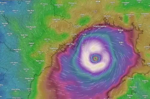 Vì sao siêu bão YAGI là cơn bão hiếm gặp trên Biển Đông?