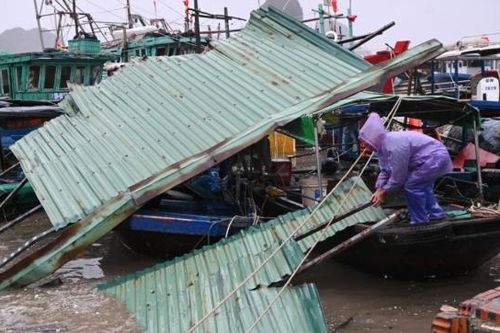 4 người chết, 78 người bị thương khi bão Yagi đổ bộ Quảng Ninh, Hải Phòng