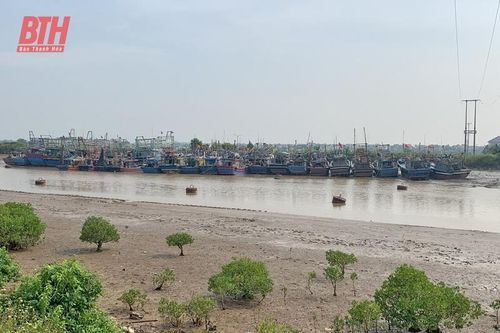 Hậu Lộc chủ động ứng phó với bão số 3