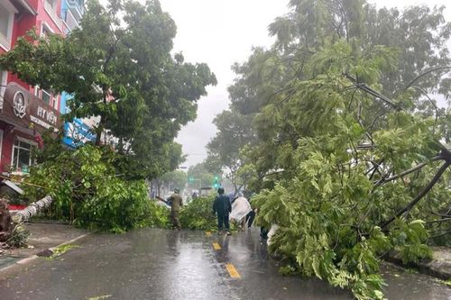 Bão số 3 hoành hành dữ dội, nhiều tỉnh mất điện, 4 người thiệt mạng, hàng nghìn cây xanh bị đổ…