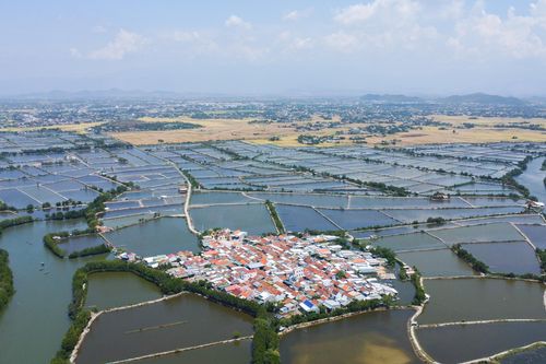 Ốc đảo trên đầm Nha Phu