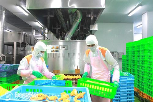 Mở rộng đầu tư vùng nuôi gà xuất khẩu