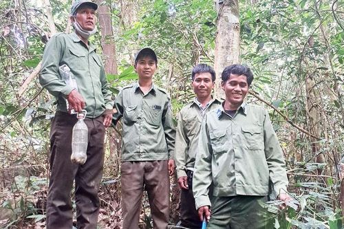 Gác rừng trên đỉnh núi