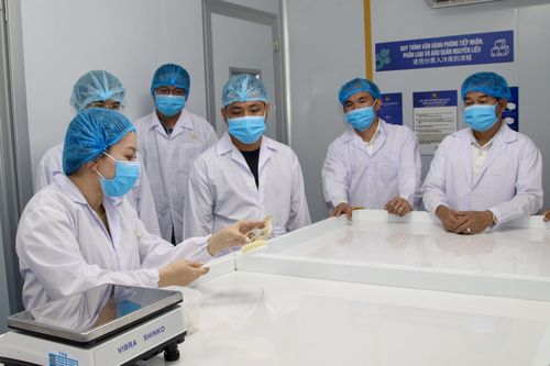 Doanh nghiệp yến sào Đắk Lắk tìm cơ hội hợp tác với Hải Yến Nha Trang