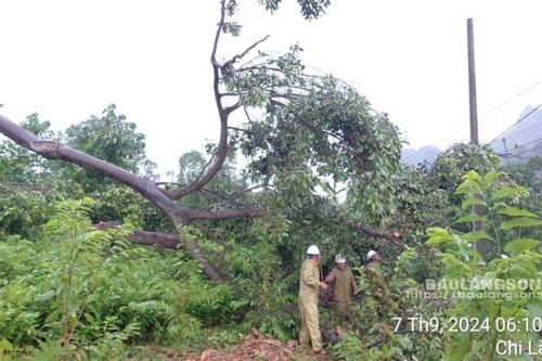 Xử lý nhanh các sự cố về điện trong thời tiết mưa bão, đảm bảo cấp điện ổn định cho khách hàng