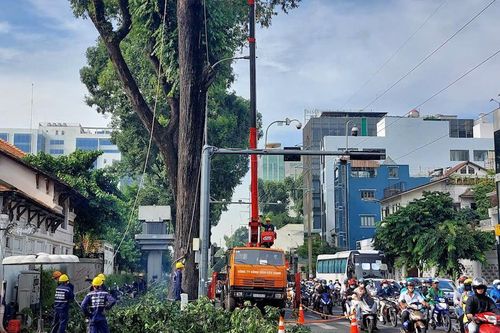 TP.HCM triển khai các biện pháp cấp bách ứng phó với bão Yagi