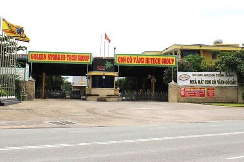7 năm hoạt động không có giấy phép môi trường, Công ty TNHH Con Cò Vàng bị phạt 320 triệu đồng