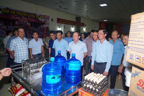 TP. Hải Phòng: Dự kiến tình huống, kịch bản sát với thực tiễn để chủ động ứng phó bão số 3