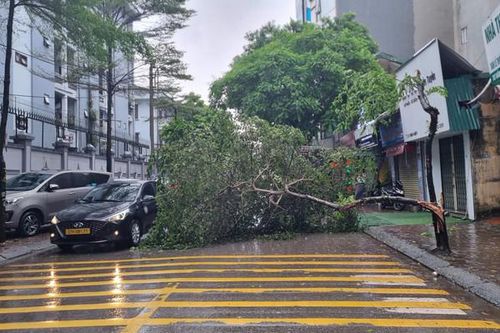 Hà Nội: Mưa lớn tập trung từ chiều 7.9, khuyến cáo người dân không ra khỏi nhà