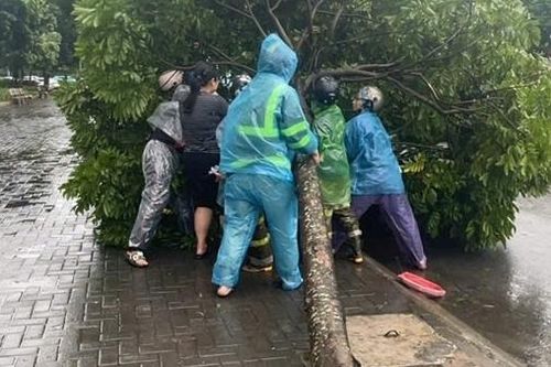 Hà Nội: Tập trung ứng trực 100% nhân lực, thiết bị phục vụ phòng, chống bão