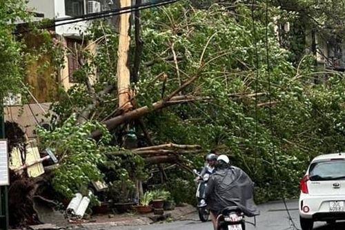 Hà Nội: Hoàn lưu trước bão khiến 7 người thương vong, hơn 400 cây xanh gãy, đổ
