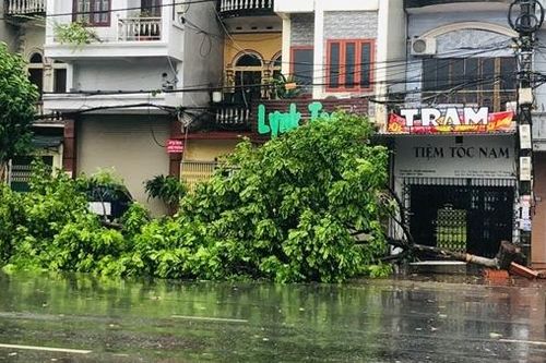 Khẩn trương cấp điện trở lại khi bão đi qua