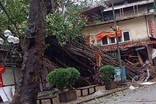 Hà Nội: 2.455 cây đổ, khắc phục hậu quả mưa bão xuyên đêm