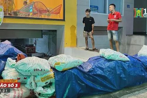 Dân khu biệt thự Hà Nội 'đắp đập be bờ' chống bão