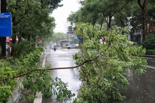 Hà Nội sẽ có gió giật cấp 9-10 từ 15 đến 19h