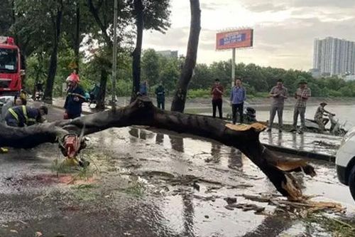 Khuyến cáo người dân không ra đường khi bão đổ bộ